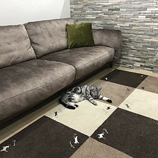 猫のいる部屋 タイルカーペット便利のインテリア実例 | RoomClip