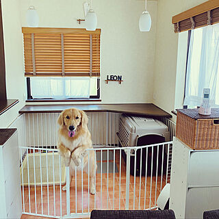 Diy 大型犬と暮らすのインテリア 手作りの実例 Roomclip ルームクリップ