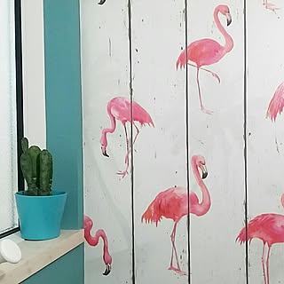 アクセントクロス フラミンゴのインテリア実例 Roomclip ルームクリップ