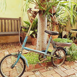 レトロ自転車のインテリア実例 Roomclip ルームクリップ