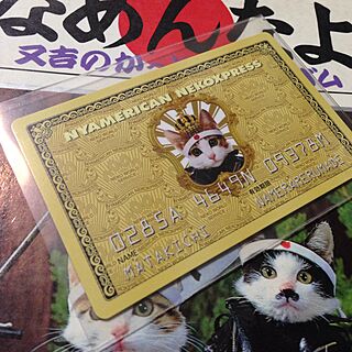 昭和レトロ なめ猫のインテリア実例 Roomclip ルームクリップ