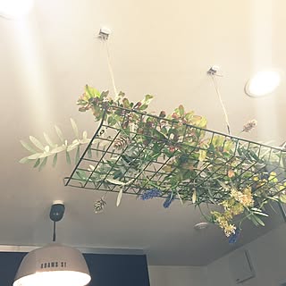 天井飾り 100均のインテリア実例 Roomclip ルームクリップ