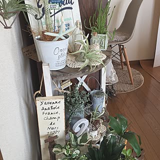 リビング/雑貨屋さんで買った物/エアプランツ/雑貨大好き♡/セリア...などのインテリア実例 - 2017-07-09 08:50:31