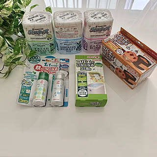 金鳥の夏/カインズホーム/カインズデザイン展/カインズ/いいね!ありがとうございます◡̈♥︎...などのインテリア実例 - 2019-06-28 10:04:30