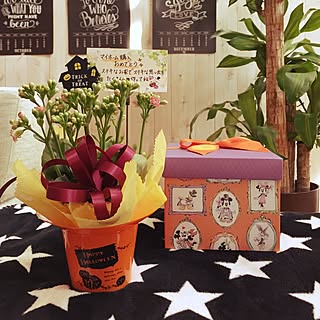 カランディーバのインテリア実例 Roomclip ルームクリップ