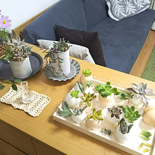 庭で育てた花を飾るのインテリア実例 Roomclip ルームクリップ