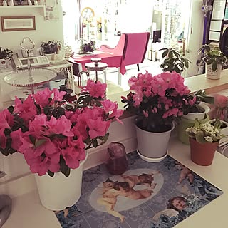 キッチン/朝の1枚/春を感じたくて‥/いつもRCのみなさんありがとう♡/みなさんの素敵なインテリアに癒されてますのインテリア実例 - 2017-04-15 08:39:32