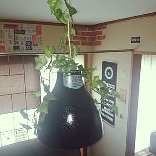 部屋全体/電気の傘/自己満/適当に/いつも、いいねありがとうでやんす⤴...などのインテリア実例 - 2017-05-10 13:14:42