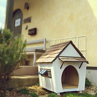 犬小屋のおしゃれなアレンジ 飾り方のインテリア実例 Roomclip ルームクリップ