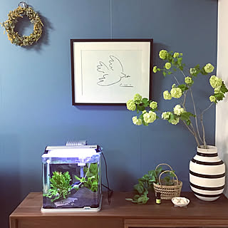 ピカソポスターのインテリア実例 Roomclip ルームクリップ