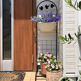 青山ガーデン フラワースタンド 園芸ラックのおすすめ家具 インテリア 全3件 Roomclip ルームクリップ