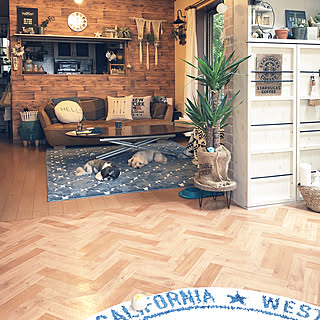 カインズホームのラグのインテリア実例 Roomclip ルームクリップ カインズホームのラグのインテリア実例 Roomclip ルームクリップ