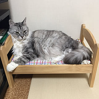 Ikea 人形用ベッドのインテリア実例 Roomclip ルームクリップ