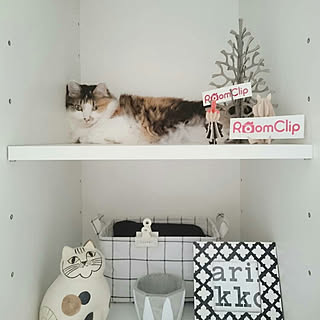 ベッド周り/マンション暮らし/ねこと暮らす。/NO CAT,NO LIFE❤️/北欧...などのインテリア実例 - 2018-10-05 07:18:14