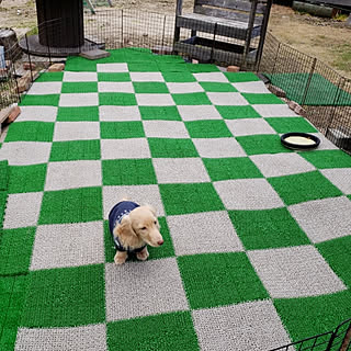 女性の、Other、家族住まいの「玄関/入り口」についてのインテリア実例