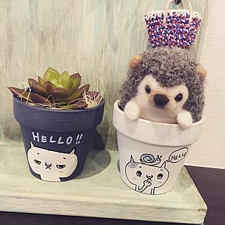 多肉植物 イラスト手書きのインテリア実例 Roomclip ルームクリップ