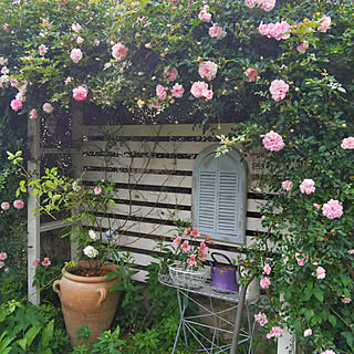 海外のお庭に憧れるのインテリア実例 Roomclip ルームクリップ