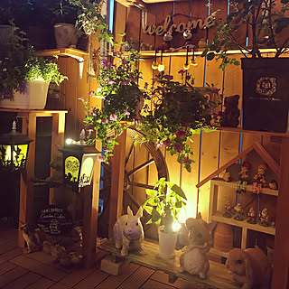 ベランダガーデニング うさぎ雑貨のインテリア実例 Roomclip ルームクリップ