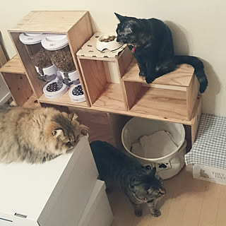 赤ちゃんと猫のインテリア実例 Roomclip ルームクリップ