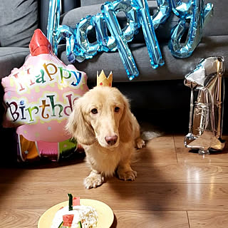 誕生日バルーンのインテリア実例 Roomclip ルームクリップ