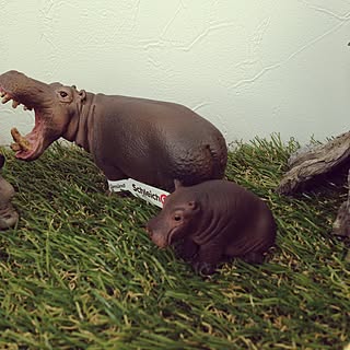 セリア カバのインテリア実例 Roomclip ルームクリップ