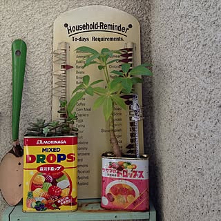 サクマ式ドロップスのインテリア実例 Roomclip ルームクリップ