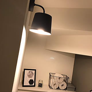 階段下トイレ/窓無しトイレ/照明/バス/トイレのインテリア実例 - 2020-01-21 23:44:21