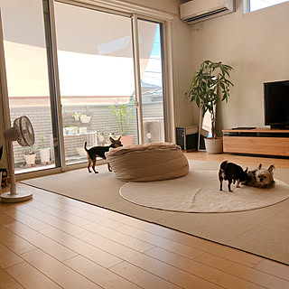 ソファなしリビングのインテリア実例 Roomclip ルームクリップ