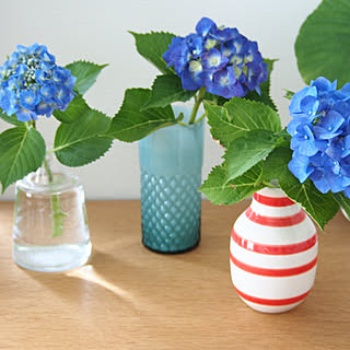 棚/花のある暮らし/アジサイ/オマジオの花瓶/フローラホルムガード...などのインテリア実例 - 2018-06-11 22:25:06