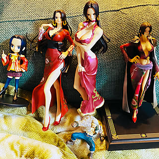 ワンピース ハンコックのインテリア実例 Roomclip ルームクリップ