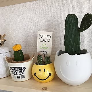 サボテン ヒボタンのインテリア実例 Roomclip ルームクリップ サボテン ヒボタンのインテリア実例 Roomclip ルームクリップ