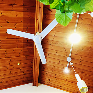 船底天井のインテリア実例 Roomclip ルームクリップ