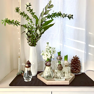 キッチン/ジュエリーライト/フェアリーライト/バルブベース/ヒヤシンス...などのインテリア実例 - 2019-01-19 08:30:05