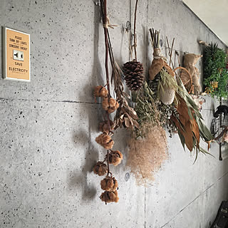 ドライフラワー スモークツリーのインテリア実例 Roomclip ルームクリップ