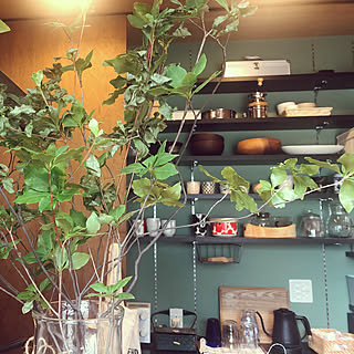 ドウダンツツジ リューズガラスのインテリア実例 Roomclip ルームクリップ