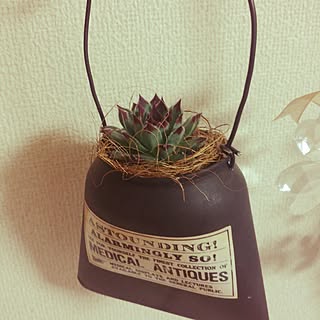 ダイソー センペルのインテリア実例 Roomclip ルームクリップ ダイソー センペルのインテリア実例 Roomclip ルームクリップ