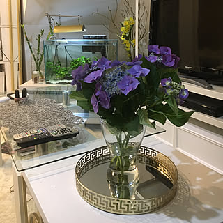 紫陽花 切り花のインテリア実例 Roomclip ルームクリップ