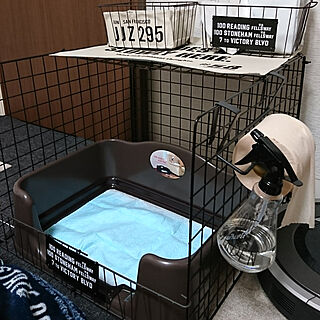 犬のトイレのインテリア実例 Roomclip ルームクリップ