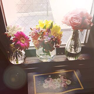 リビング/窓/春/植物/お花たち...などのインテリア実例 - 2013-03-22 11:54:22