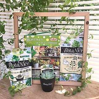 ニトリ 虫ぴんのまとめページ Roomclip ルームクリップ