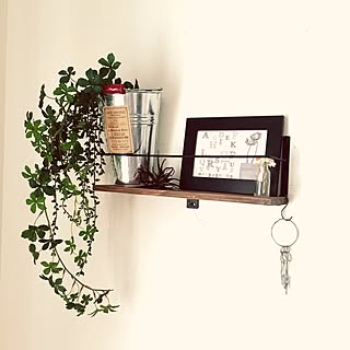 フェイクグリーン キャンドゥのフェイク多肉のインテリア実例 Roomclip ルームクリップ