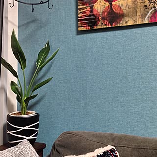 玄関/入り口/玄関入口じゃないけど/ブルーグレーの壁/植物のある暮らし/アート...などのインテリア実例 - 2017-01-13 00:24:01