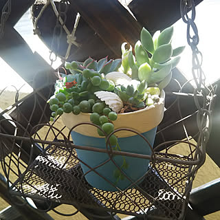 キッチン/キラキラ生活☆/本人満足 ( ¯﹀¯ )/楽しまんとね♪/あれもこれも好き♥︎...などのインテリア実例 - 2019-08-24 12:15:13