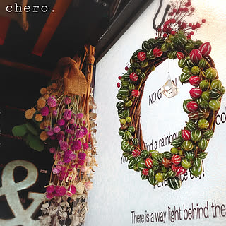 オキナワスズメウリの実のインテリア実例 Roomclip ルームクリップ