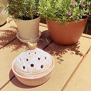 ウッドデッキ 虫対策のインテリア実例 Roomclip ルームクリップ