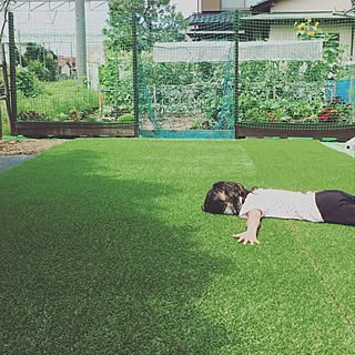 庭 サッカーゴールのインテリア実例 Roomclip ルームクリップ