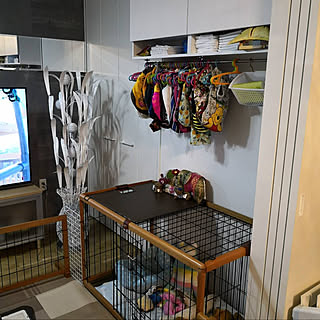 ゲージの上のインテリア実例 Roomclip ルームクリップ
