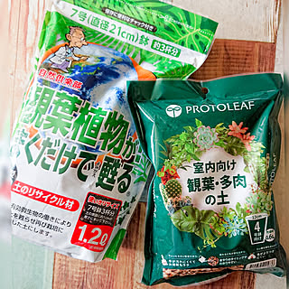 多肉植物の土のインテリア実例 Roomclip ルームクリップ