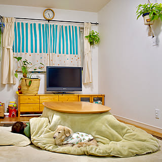 アイズインテリアショップ こたつ布団カバーのおすすめ家具 インテリア 全10件 Roomclip ルームクリップ