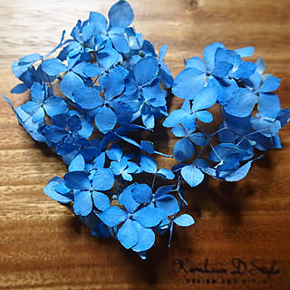 部屋全体/紫陽花大好き/賃貸でも楽しく♪/似たような写真ですみません/いいね!ありがとうございます♪/可愛い♡...などのインテリア実例 - 2018-06-29 22:23:48
